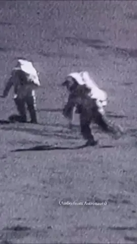 To celebrate the 54th anniversary of humans walking on the moon. Here we have a few moon walkers having fun on 1/6 Earth’s gravity.  #moonlanding #apollo11 #nasa 