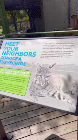Austin nature and science center… austin tx … @austinconhijos
