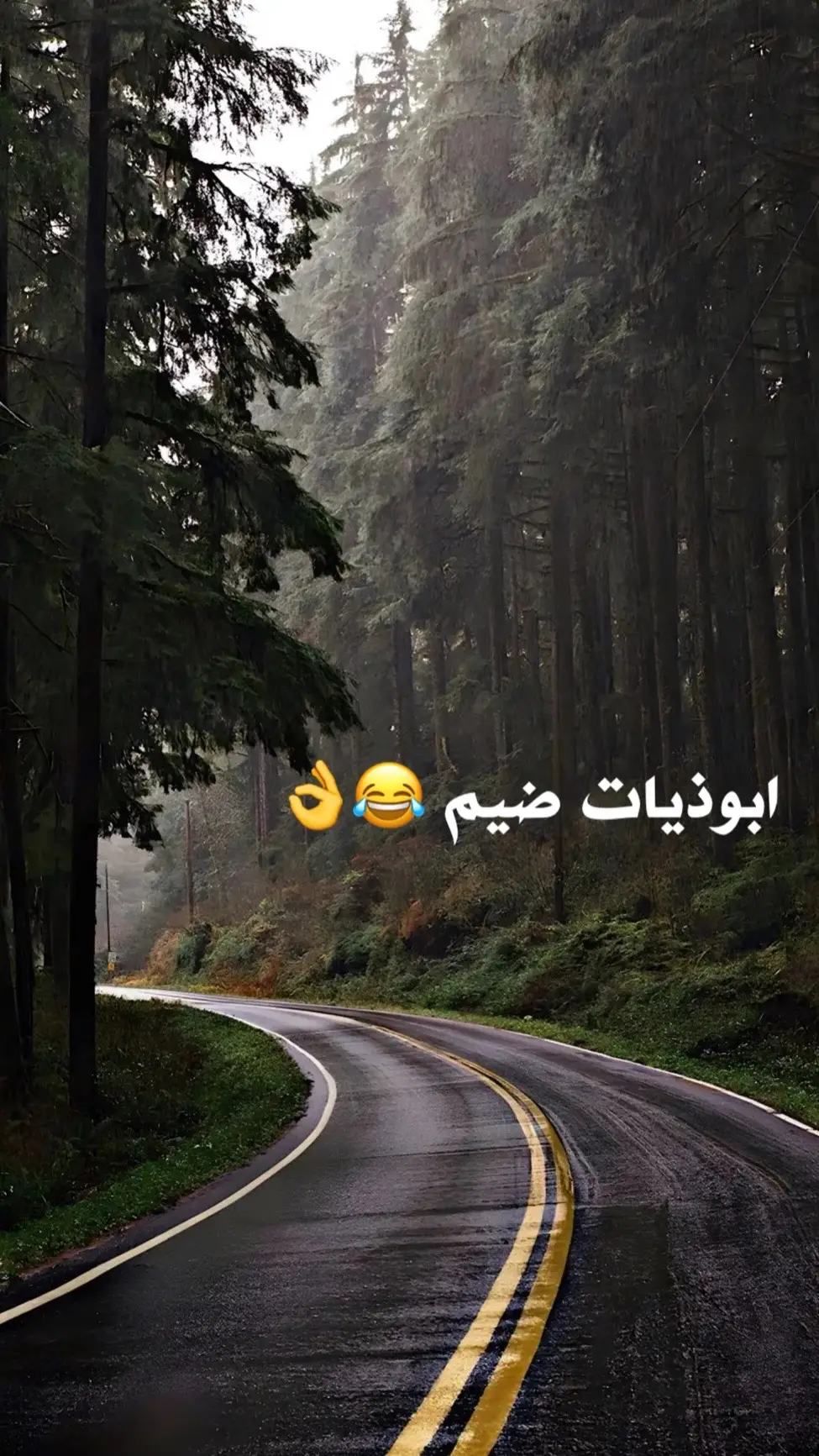 انطيني شي انجبر انزله 🌓🤍 #ابوذيات_عراقيه_ #اقتباسات #fyp #دارميات #الشعب_الصيني_ماله_حل😂😂 #مالي_خلق_احط_هاشتاقات #اكسبلورexplore #فولو🙏🏻لايك❤️اكسبلور🙏🏻🌹💫 #فولوووووو❤️❤️ #متابعه