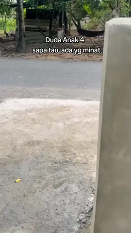 baru kali ini Liat Anak ayam  Jalan sama Bapake. . . emaknya kemana? 