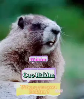 Text nama, sound boleh edit #tupaipanggilnama #soundtupai #tupaicomel #viralvideo #CapCut @dekfiq88 @MexMoney 