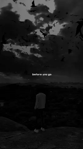 #aestheticvibes #darkaesthetic #blackmood #songlyrics #beforeyougo 