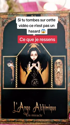 Ce que je ressens aujourd'hui 🙏 #tarotvoyance #tiragedecarte #tiragedujour #tirage 