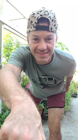 been lovin seeing y'all do this dance, and I wanted to whip it wit yall.. please tell me who started this...cause it's so much fun!  #happysunday #sundayfunday  #fyp #dancinggardener 