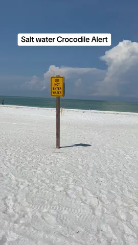 #saltwater #crocodile #alert #florida #beach #saltcroc #clear #water #beachclosed #caution #noswim #crystalclear #water #signs #whitesand #lylelyle
