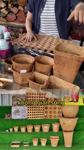 Chuyên gia Thailand giới thiệu: các mẫu Chậu xơ dừa #rausach #rauhuuco #trongrausanthuong #vuonsachnhapho