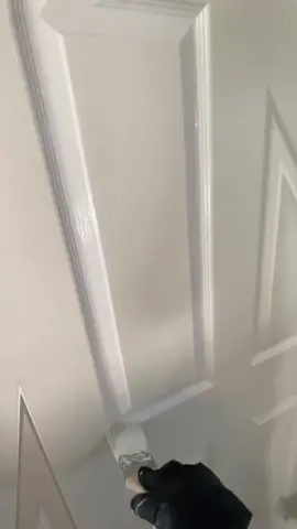 #onthisday applying coverstain oil primer on this door prior to finish paint. #foryou #fyp #paintok #painting 