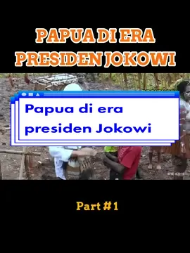 Papua di era presiden Jokowi #jokowi #jokowidodo #jokowidodopresidenkita #papua #puteragandasil #fyp 