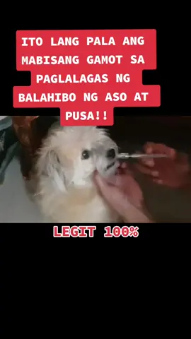 MABISANG GAMOT SA PAGLALAGAS NG BALAHIBO NG ASO AT PUSA!! #fyp #tiktokafiliate #tiktok #TikTokPromote #kadogsremedies #solidkadogs #kadogs 