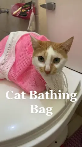 cat bathing bag #catsoftiktok #catlover #furbabies #spamthecat #fy #fypシ #catphilippines #fypシ゚viral #puspinph #catessentials #catbathingbag #catbath 