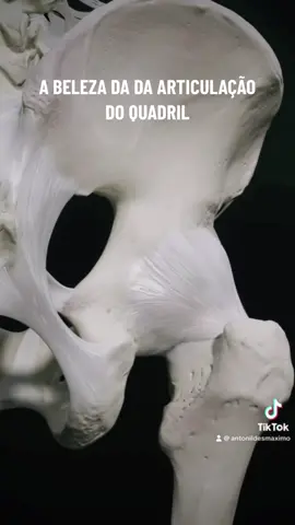 #articulacaodoquadril #quadril #fisio #fisioterapia #fisioterapeuta #anatomiahumana #anatomia #med #articulaçãodoquadril #flexibility #flexibilidade #anatomy #nurse 