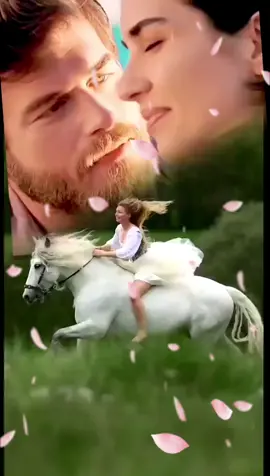 هاني شاكر #💞 سالوني الناس# 💞 قلت بحبك# 💞 لايك اكسبلور 💞#