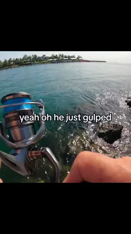 Can't Believe this Worked! #fyp #fishing #monsterfish 