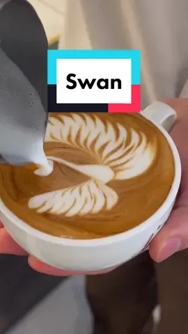 Swan- latte art. Post a video and tag me to see how you do it #coffee #coffeeaddict #coffeelover #coffeepeople #coffeeperson #coffeedaily #dailycoffee #dailydoseofcoffeee #coffeetok #coffeetiktok #coffeetutorial #coffeetime #coffeeart #coffeetutorial #barista #baristatutorial #baristachallenge #baristalife #baristasoftiktok #baristas #latte #latteart #latteswan #swan #latteswan🦢 #baristaskills #tutorial #fyp #viral #coffeetutorials #coffeetutorialbasicart 