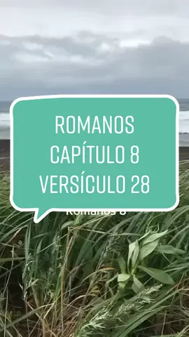 Romanos 8:28 E sabemos que todas as coisas contribuem juntamente para o bem daqueles que amam a Deus, daqueles que são chamados segundo o seu propósito. #jesus #reflexão #deus #fyp 