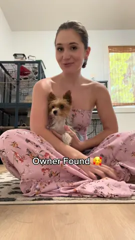 He just got picked up by his owner 🥹 Merlin said good riddance lol #merlinthepig #mina #founddog #pigsoftiktok #piggy #pig #fyp #xyzbca 