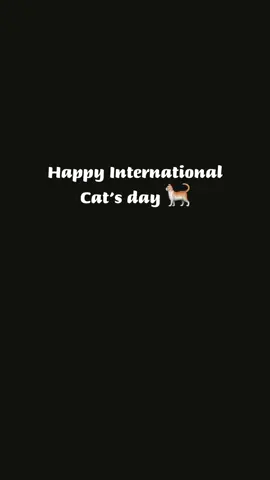Our cats compilation 🥹 Story time kung saan galing ang mga cats na ito at paano napunta dito, pwede naman soon 😁   #capcut #cat #catsoftiktok #catlover #internationalcatday #internationalcatsday #happyinternationalcatday #PetsOfTikTok #fypシ 
