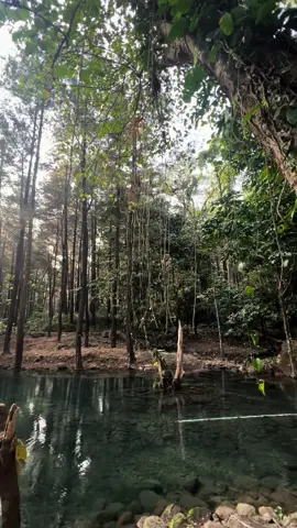 Ngadem whit …… whit tan do ngingetiii 🥴 #explorejogorogo #ngawi24jam #sumbernogo #kendal 