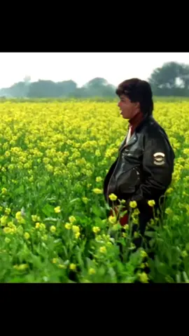 Tujhe dekha to yeh jaana sanam) #tujhedekhatoyehjanasanam #diwaledulhaniyalejayenge #kajol #shahrukhkhan #srk #shahrukhkhankajol #bollywood #movie #song 