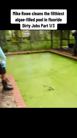 Mike Rowe cleans the filthiest algae-filled pool in fluoride  Dirty Jobs Part 1/3 #dirtyjobs #relax #fy #show 