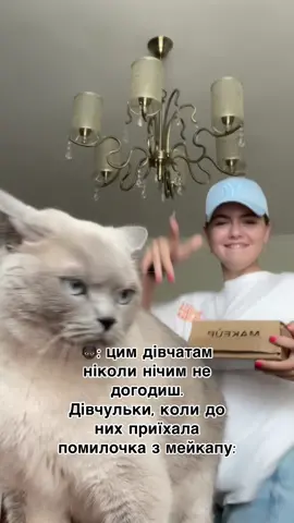 #соковитабандерівка 