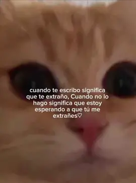 i m:(( yu    #iloveyu2 #amor #novios #parejas #couple #frasesparadedicar #dedicarvideos♡ #gatitos #teextraño #im:((yu #imissyou #❤️ #😽 