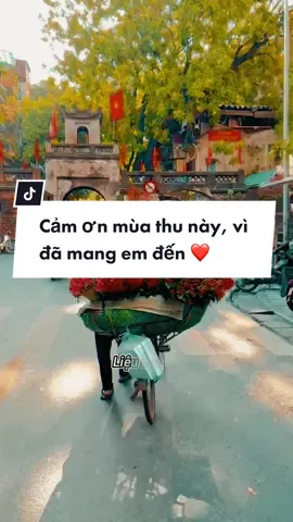 Cảm ơn mùa thu này, vì đã mang em đến 💕. #khoisuyngam #xuhuong 