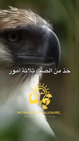 أكتب 