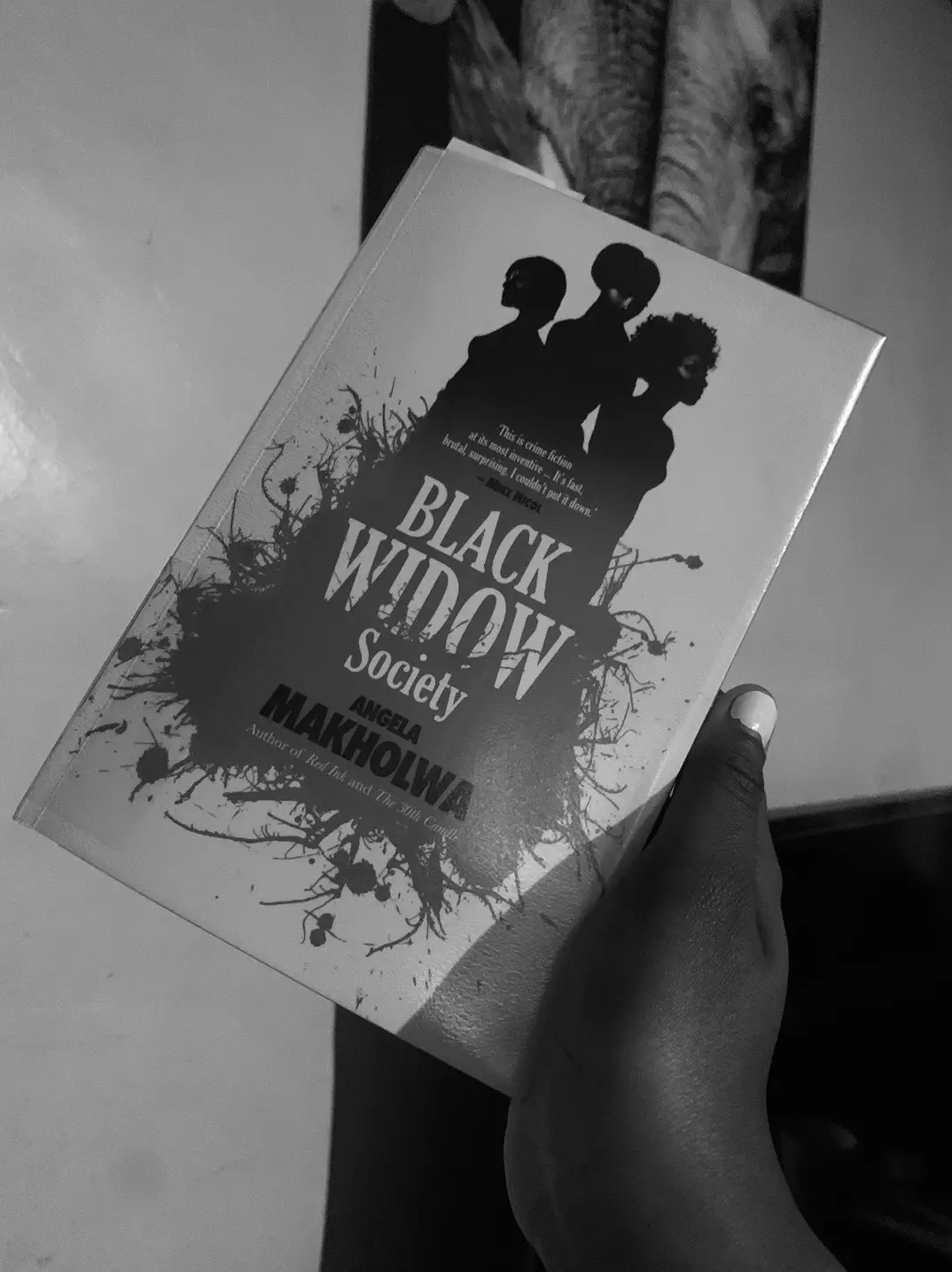 #currentlyreading #fyp #blackgirlsread #africanliterature #novels #fiction #angelamakholwa #blackwidowsociety #bookrecs #bookrecommendations #pocbooktok #readingtiktok #blackwritersoftiktok 