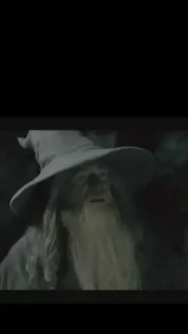 Every single time...  #holiday #lotr #work #funny #memory #gandalf #fyp #foryou #norsk #humor 