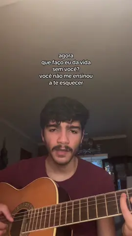 você não me ensinou a te esquecer