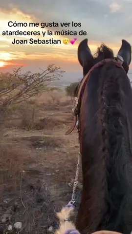 My favvv 😮‍💨🤌🏽🤌🏽#parati #atardeceresbonitos #caballos #joansebastian #bonitavida