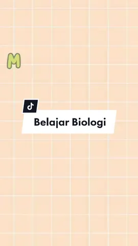 Belajar Biologi - Keanekaragaman Hayati (Part 2)  #CapCut #keanekaragamanhayati #materibiologikelas10semester1 #materibiologi #biologyteacher #biologi #tiktok #fypシ゚viral #fypage #fyp 