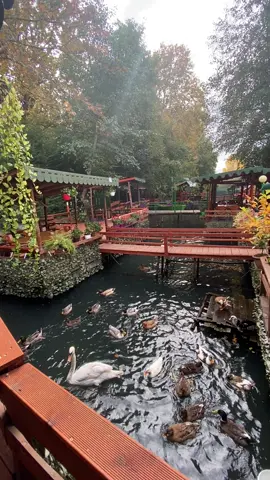 Nuk eshte Tajlanda eshte Drilon , Restorant Egnis #drilonpogradec 😌🍃 #fyppp #virale #pogradecalbania 