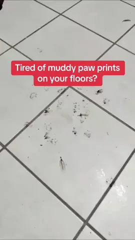 Clean, Happy Paws Await! Electric Foot Washer Makes Paw Cleaning Easy🤫#pet #pets #PetsOfTikTok #petlover #petgrooming #petcleaning #dog #dogsoftiktok #dogs #doggrooming #doggroomer #dogroomerlife #muddy #muddydog #muddypuddles #muddypaws #pawsclean 