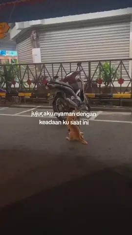 #fyp#xyzbca 