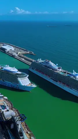 Traffico a Civitavecchia! 🚦🇮🇹☀️ #odysseyoftheseas #mscseashore #enchantedprincess #crociera #crociere #cruisetok #cruisetok2023 #crocieristacom 