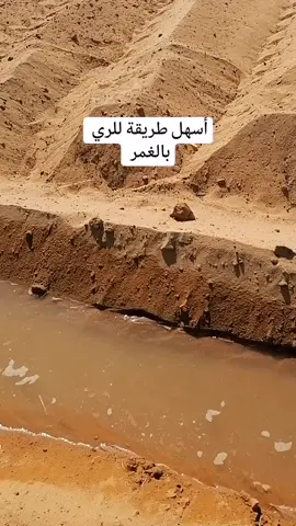 #زراعة _البونيكام #هشتاقات_تيك_توك_العرب #زراعة_ااصحراء #viraltiktok2023 #الزراعة_متعة #زراعة_اكسبلور 