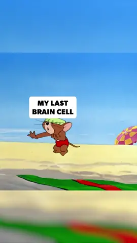 Like trying to find your way out of a dark room  #tomandjerry #lastbraincell #beachday #fyp