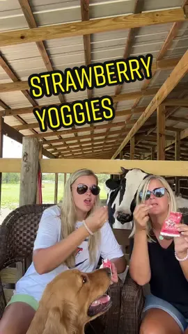 #Inverted natures garden probiotic strawberry yoggies #costcomamma #megandmaddie #forupage #yoggies #naturesgarden #strawberry #Summer #costco #costcofinds @Costco Wholesale 