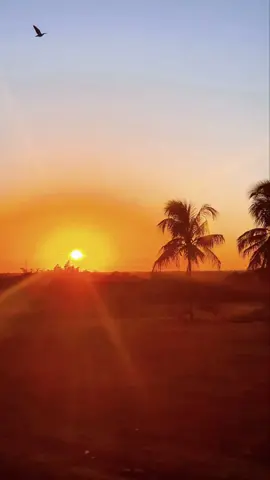 #música #vibe #pôrdosol 