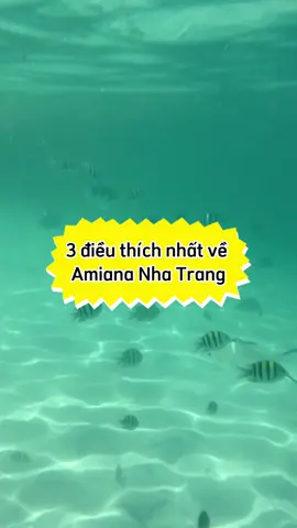 Amiana Nha Trang là resort nên trải nghiệm qua nhé bà con, đáng đồng tiền bát gạo #reviewdulich #nhatrang #trip #longervideos #fishing #baby #CapCut 