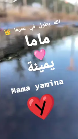 Réponse à @user1508622323511 #ruby15h♥🇩🇿🇩🇿🇩🇿🇩🇿 #ruby15h♥🇩🇿🇩🇿🇩🇿🇩🇿 #ruby15h♥🇩🇿🇩🇿🇩🇿🇩🇿 #ruby15h♥🇩🇿🇩🇿🇩🇿🇩🇿 #ruby15h♥🇩🇿🇩🇿🇩🇿🇩🇿 #imazighen♓♓❤️❤️ 