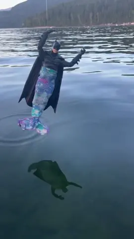 Batman fly=))🤣🤣#meme #funny #funnyvideos #xuhuong #fyp #fypシ #batman 