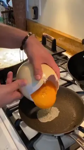 What kind of egg is this? 🥚🤔 (Credit: @ali_warrington on Insta) #ostrichegg #eggprotein #proteinfood #bigegg #proteingains #ostricheggs 