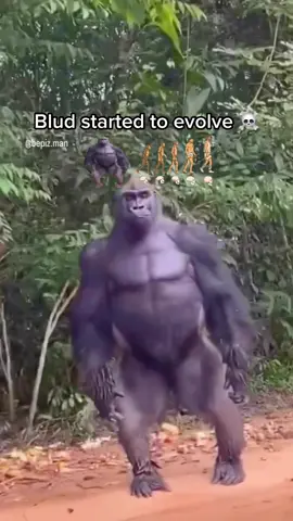Bro boutta become human 💀 #tiktokmemes #tiktok #memes #dankmemes #funnymemes #meme #memesdaily #funny #tiktokindia #tiktokers #tiktokdance #tiktokindonesia #tiktokgirls #offensivememes #tiktokviral #explorepage #viral #edgymemes #instagram #Love #funnyvideos #follow #dank #trending #tiktokhot #dailymemes #explore #comedy #likeforlikes #tiktokvideo 