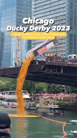 The annual Chicago tradition: The Chicago Ducky Derby! This year pouring almost 100,000 rubber ducks into the Chicago River in honor of the @Special Olympics Illinois 🐥 Comment below if you went!  - #Chicago #DuckyDerby #specialolympics #Summer #thingstodoinchicago #illinois #enjoyillinois #summertimechicago #goodcause #thebean