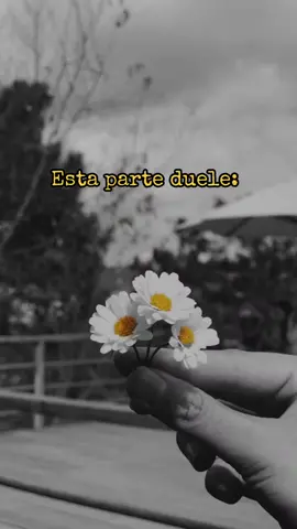 Partidos en dos #partidoendos #chuylizarraga #teextrañotanto #mehacesfalta #abuelitoteextraño #miangeldelcielo #sad #🕊️🖤🥀 