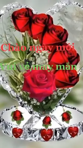 #nhachaymoingay 