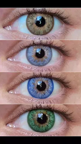 Lentes de contato Coloridas.  COLEÇÃO LEOPARD 💞🥰 Todas com alta cobertura e pupila reduzida, durabilidade de 1 ano.  estão disponíveis em nosso site.🥰#lentesdecontacto #vendas #tiktok #lentes #lentesmr #olhos #viral #vendasoline 